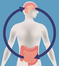 nutrition & anxiety nutrition & anxiety